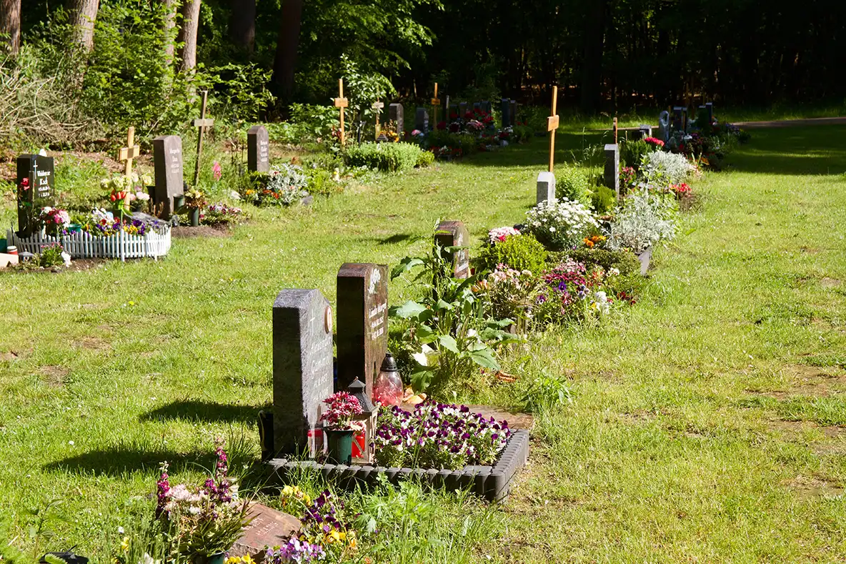 Bergedorf-Friedhof---10-von-10