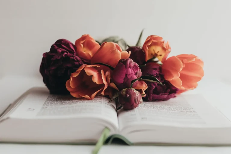 Eine Bibel mit aufgelegten Blumen