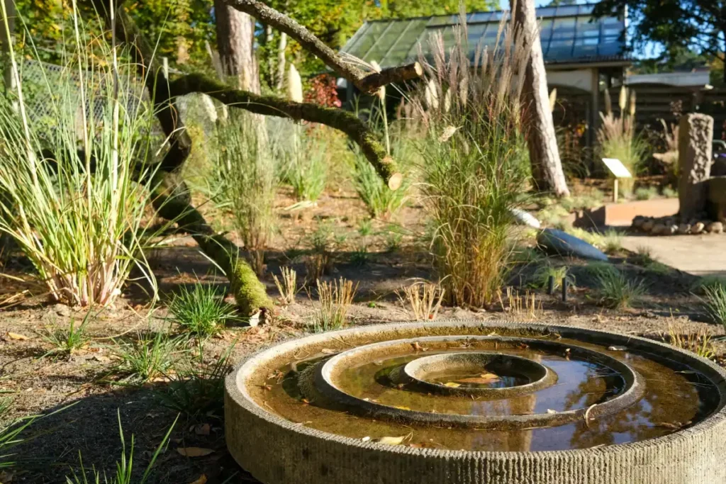 Kleiner Gartenbrunnen mit Pflanzen und Bäumen.