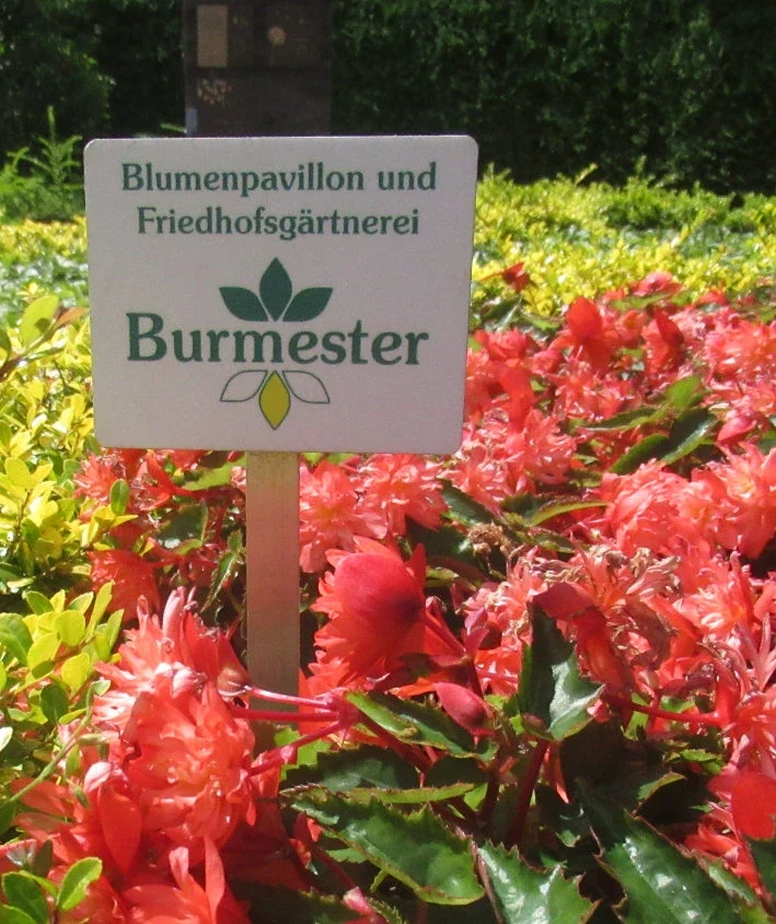 Blumenschild im Garten mit roten Blumen.