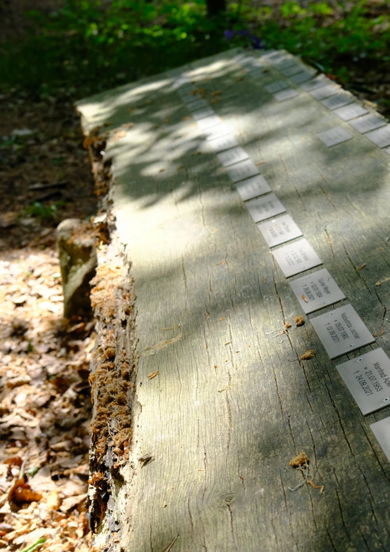 namensplaketen auf holz