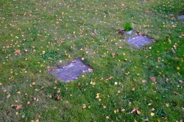 Rasenreihengrab auf dem Friedhof Häcklingen