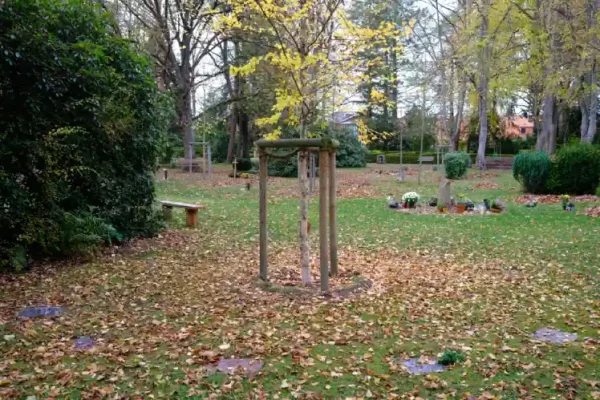 Urnenbaumgrab Zentralfriedhof Lüneburg